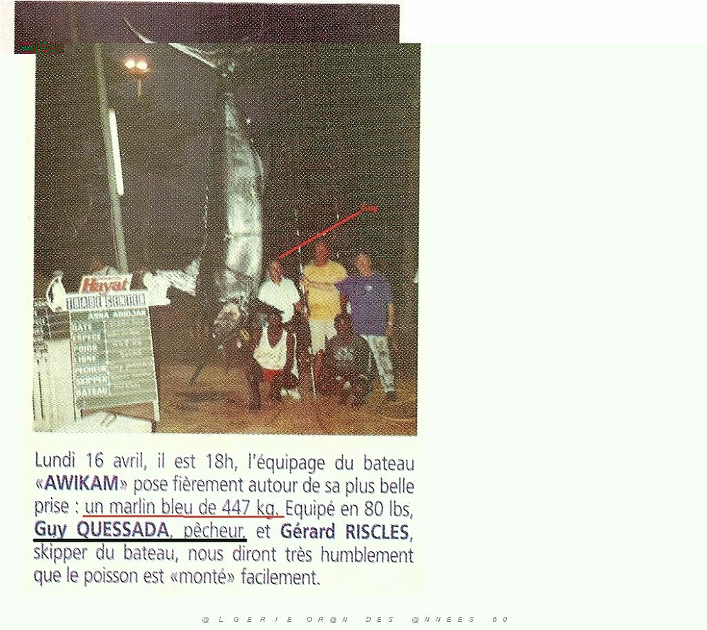 Voyage- Marlin asna GUY.jpg